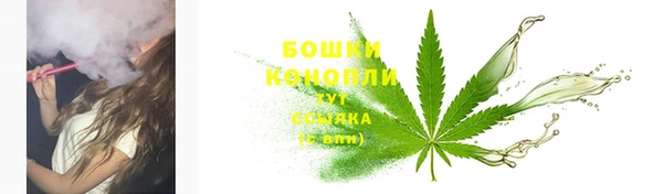 прущие грибы Алзамай