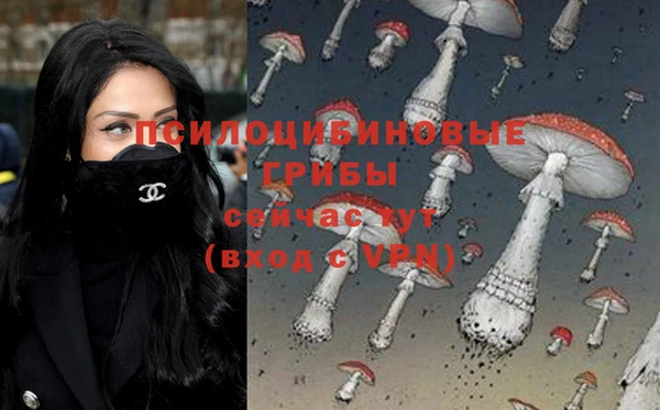 прущие грибы Алзамай