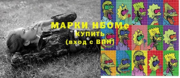 прущие грибы Алзамай