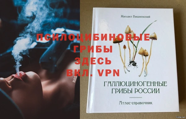хмурый Алексеевка