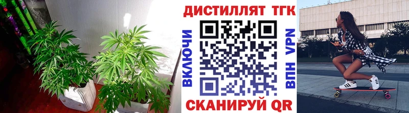 OMG как зайти  Саянск  ТГК THC oil 