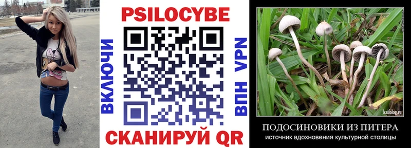 Псилоцибиновые грибы мухоморы Саянск