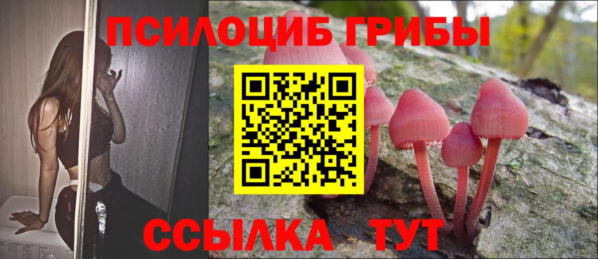 Псилоцибиновые грибы ЛСД Саянск