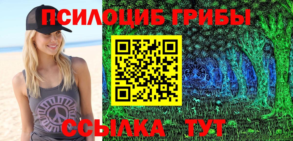 Галлюциногенные грибы прущие грибы Саянск