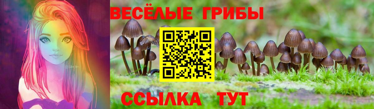 Галлюциногенные грибы Magic Shrooms  Вход с VPN  Псилоцибиновые грибы GOLDEN TEACHER  Саянск 